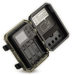 Πίσω όψη του Wachman Mini Trail Camera που δείχνει την οθόνη και τους ελέγχους
